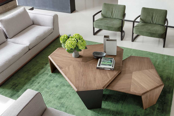 Tortuga Coffee Table