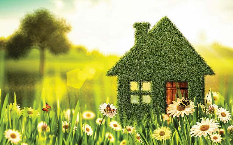 green home