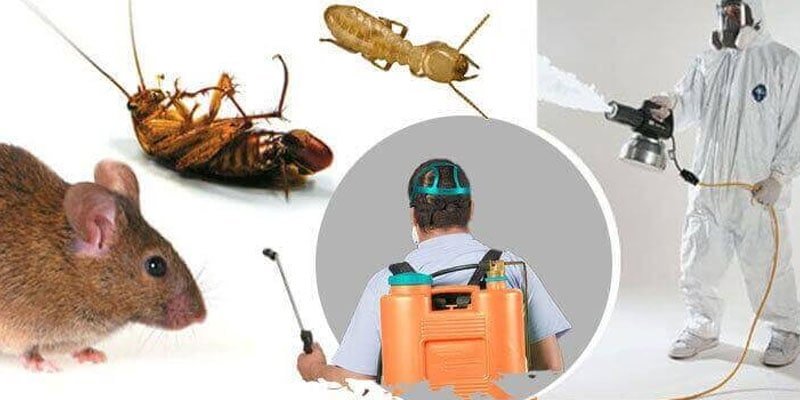 safety pest control