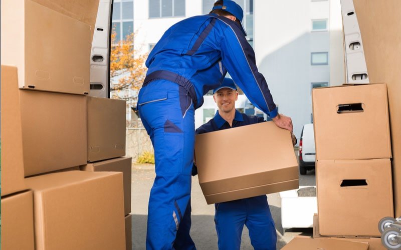 professional movers