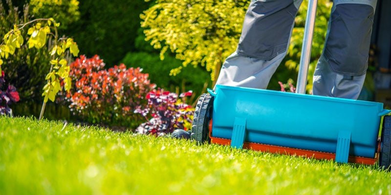 lawn fertilization