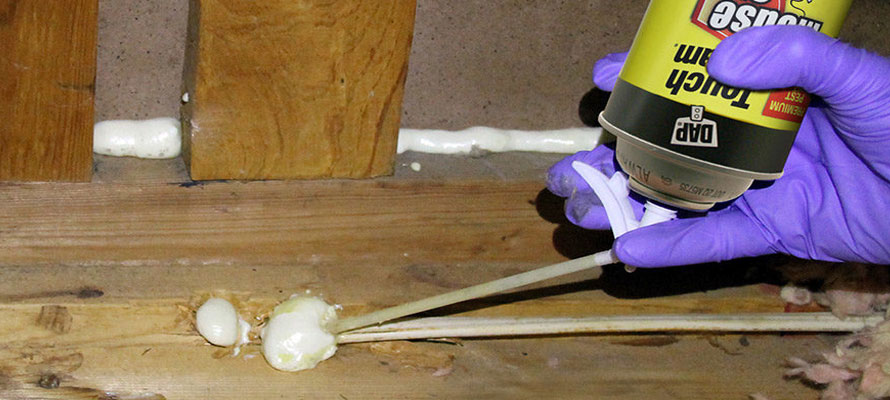 foam sealing