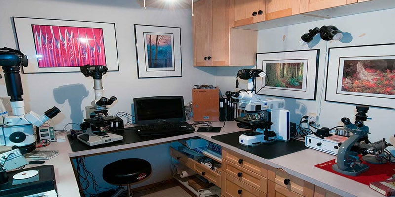 lab microscopy