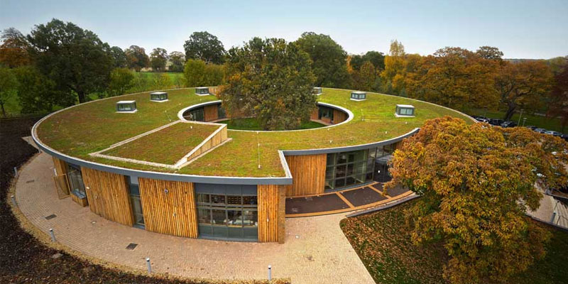green roofs