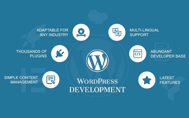 wordpress development