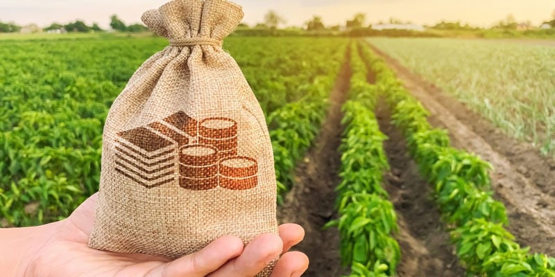 8 Tips to Help You Increase the Value of Your Land