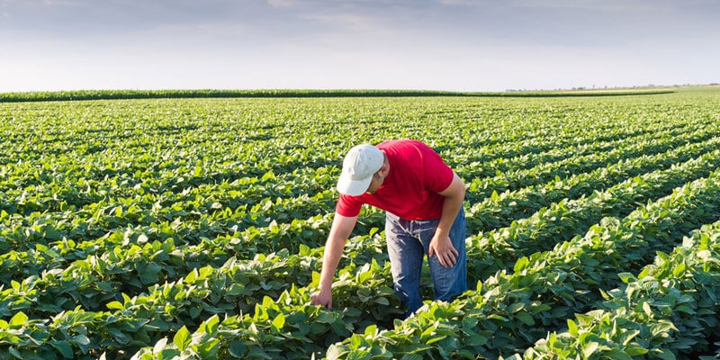 Wonderful Benefits of Sustainable Agriculture