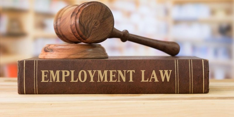 The Different Kinds of Employment Laws