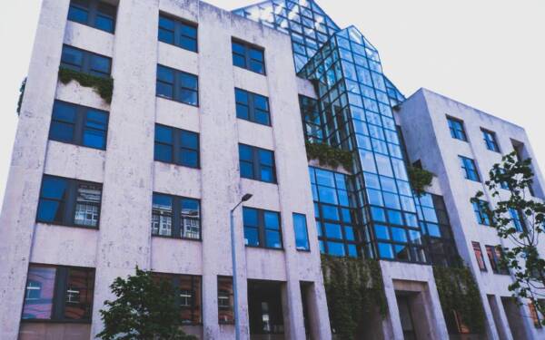 cecil ward building opening hours