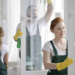 Professional Window Cleaning Services