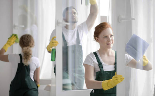 Professional Window Cleaning Services