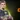 GG.Bet